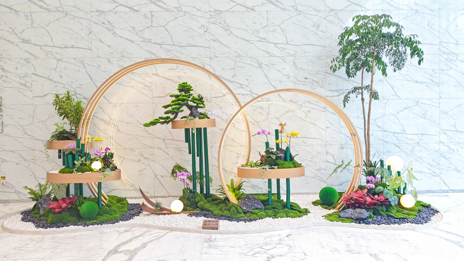 专业提供江北盆景出租，装点生活别样精彩